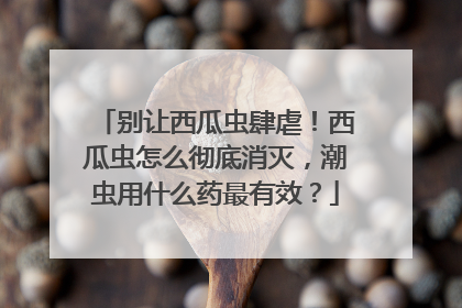 别让西瓜虫肆虐！西瓜虫怎么彻底消灭，潮虫用什么药最有效？