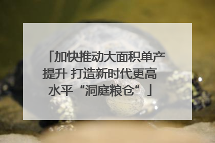加快推动大面积单产提升 打造新时代更高水平“洞庭粮仓”