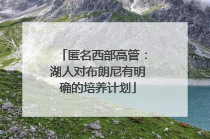 匿名西部高管：湖人对布朗尼有明确的培养计划