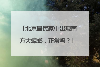 北京居民家中出现南方大蟑螂，正常吗？