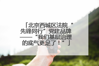 北京西城区法院“先锋同行”党建品牌——“我们基层治理的底气更足了！”