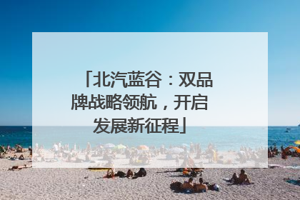 北汽蓝谷：双品牌战略领航，开启发展新征程