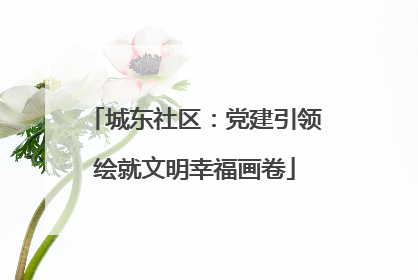城东社区：党建引领绘就文明幸福画卷