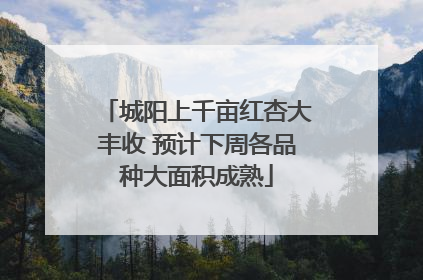 城阳上千亩红杏大丰收 预计下周各品种大面积成熟