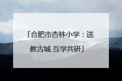 合肥市杏林小学：送教古城 互学共研