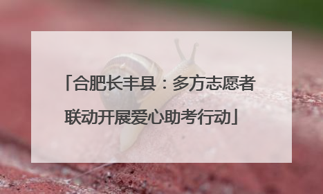 合肥长丰县：多方志愿者联动开展爱心助考行动
