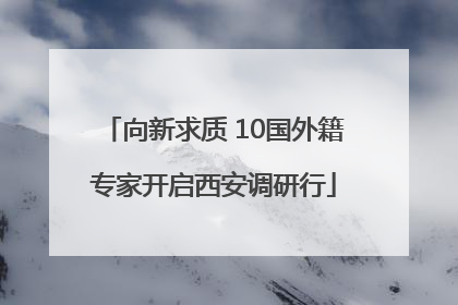 向新求质 10国外籍专家开启西安调研行