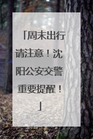 周末出行请注意！沈阳公安交警重要提醒！