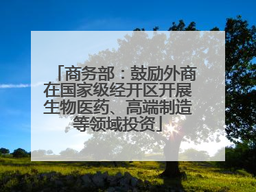 商务部：鼓励外商在国家级经开区开展生物医药、高端制造等领域投资