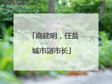 商建明，任盐城市副市长
