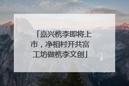 嘉兴槜李即将上市，净相村开共富工坊做槜李文创