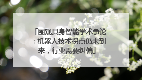 围观具身智能学术争论：机器人技术拐点仍未到来，行业需要纠偏