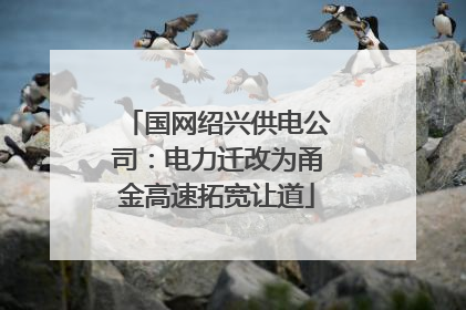 国网绍兴供电公司：电力迁改为甬金高速拓宽让道