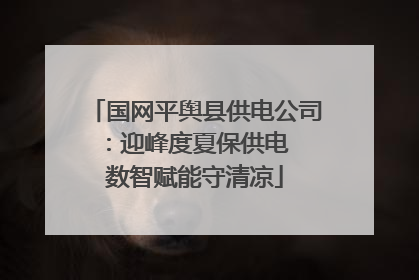 国网平舆县供电公司：迎峰度夏保供电  数智赋能守清凉