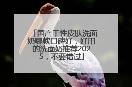 国产干性皮肤洗面奶哪款口碑好，好用的洗面奶推荐2025，不要错过