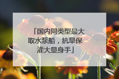 国内同类型最大取水泵船，抗旱保灌大显身手