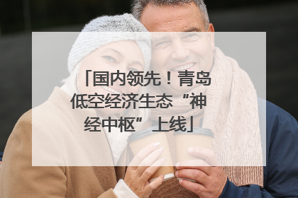 国内领先！青岛低空经济生态“神经中枢”上线