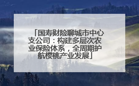 国寿财险聊城市中心支公司：构建多层次农业保险体系，全周期护航樱桃产业发展