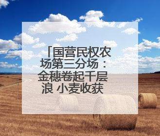 国营民权农场第三分场：金穗卷起千层浪 小麦收获正当时