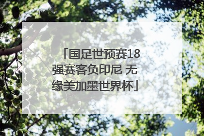 国足世预赛18强赛客负印尼 无缘美加墨世界杯