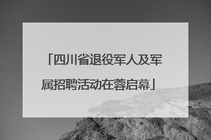 四川省退役军人及军属招聘活动在蓉启幕