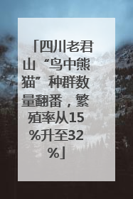四川老君山“鸟中熊猫”种群数量翻番，繁殖率从15%升至32%