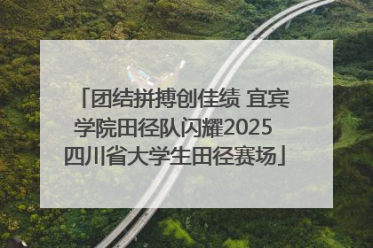 团结拼搏创佳绩 宜宾学院田径队闪耀2025四川省大学生田径赛场