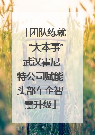 团队练就“大本事” 武汉霍尼特公司赋能头部车企智慧升级