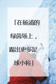 在杨浦的绿茵场上，踢出更多足球小将