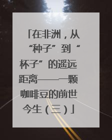 在非洲，从“种子”到“杯子”的遥远距离——一颗咖啡豆的前世今生（三）