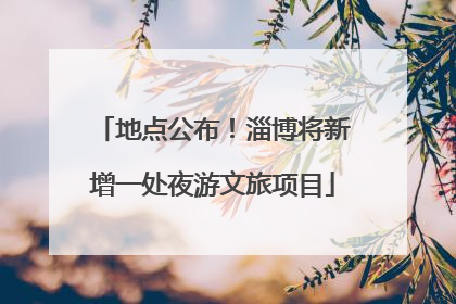 地点公布！淄博将新增一处夜游文旅项目