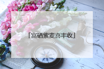 富硒紫麦喜丰收
