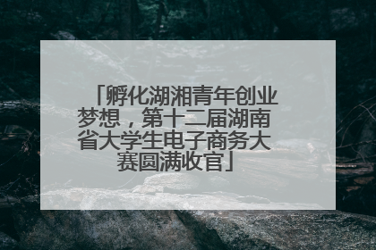 孵化湖湘青年创业梦想，第十二届湖南省大学生电子商务大赛圆满收官
