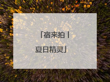 宿来拍丨夏日精灵