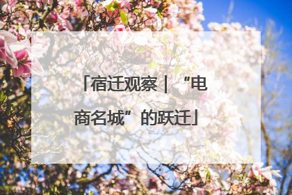 宿迁观察｜“电商名城”的跃迁