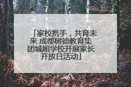 家校携手，共育未来 成都树德教育集团城厢学校开展家长开放日活动