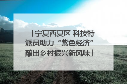 宁夏西夏区 科技特派员助力“紫色经济”酿出乡村振兴新风味