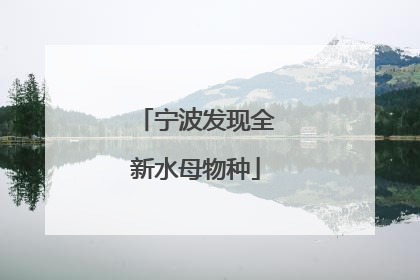 宁波发现全新水母物种