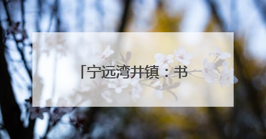 宁远湾井镇：书林翰墨传情谊