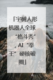 宇树人形机器人全球“格斗秀”，AI“拳王”硬核破圈