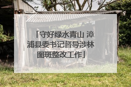 守好绿水青山 漳浦县委书记督导涉林图斑整改工作