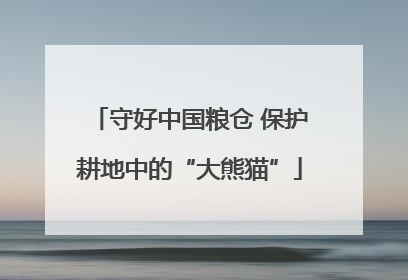 守好中国粮仓 保护耕地中的“大熊猫”
