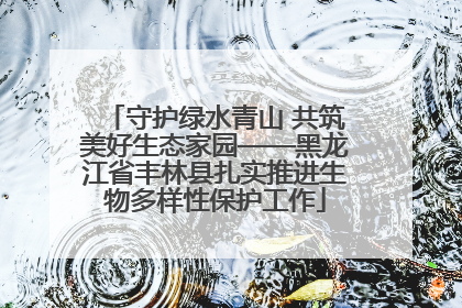 守护绿水青山 共筑美好生态家园——黑龙江省丰林县扎实推进生物多样性保护工作