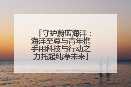 守护蔚蓝海洋：海洋至尊与青年携手用科技与行动之力托起纯净未来