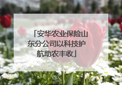 安华农业保险山东分公司以科技护航助农丰收