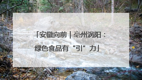 安徽向前｜亳州涡阳：绿色食品有“引”力