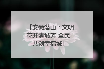安徽潜山：文明花开满城芳 全民共创幸福城