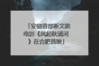 安徽首部新文旅电影《风起秋浦河》在合肥首映