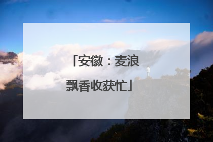 安徽：麦浪飘香收获忙