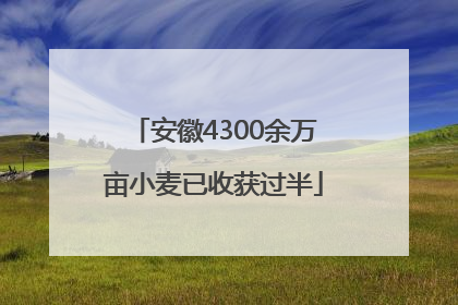 安徽4300余万亩小麦已收获过半